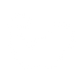 arm icon