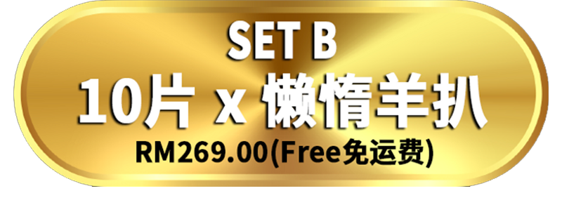 配套 B - Set B